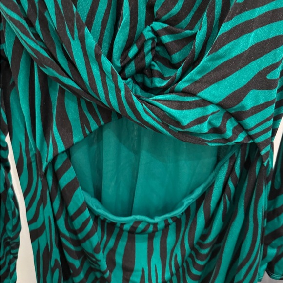 Green and Black Zebra Long Sleeve Dress - Picture 3 of 5